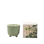 Load image into Gallery viewer, Forest - Botanical Candle (Myrtle &amp; Moss)
