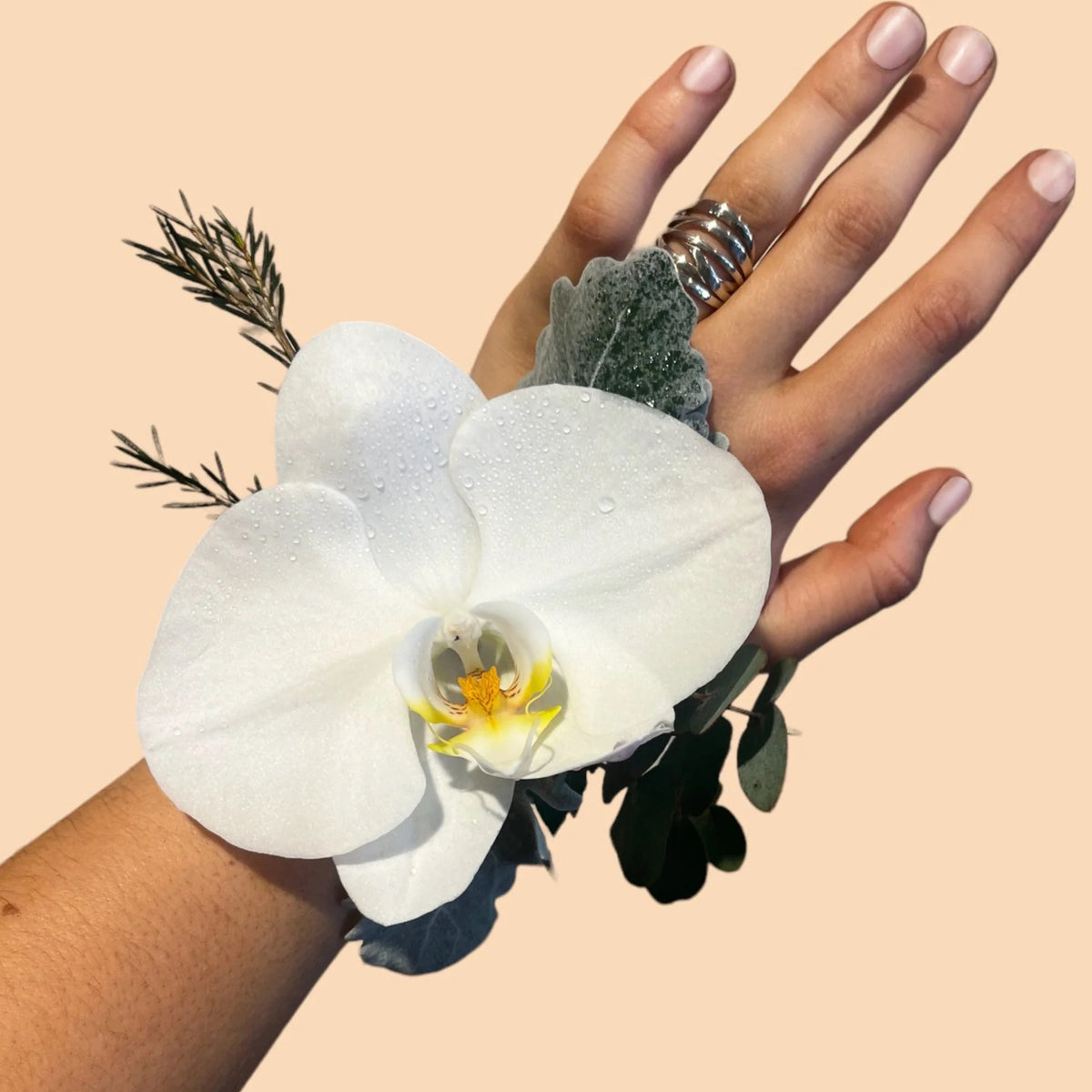 Phally orchid corsage 