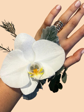 Phally Orchid Corsage